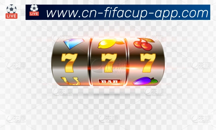 未来规划